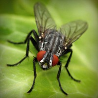 /album/convoipypho/photolia-a01-jpg/