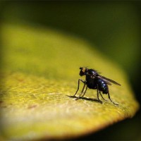 /album/convoipypho/photolia-a07-jpg/